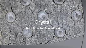  Presentation with intestines intestine part of digestive - Amazing PPT theme having textured part of a zebra backdrop and a gray colored foreground