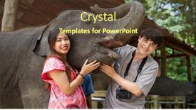  Presentation with elephant - Beautiful slide deck featuring thai tourist couple posing with elephant at sanctuary backdrop and a tawny brown colored foreground