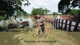  Presentation with ayutthaya - 