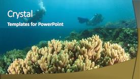  Presentation with divers - Audience pleasing theme consisting of  backdrop and a  colored foreground