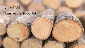  Presentation with cosmetic - Amazing presentation design having thanaka-wood-close-up-tanaka backdrop and a coral colored foreground