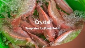  Presentation with salt water fish - Presentation theme having thanh - fresh fish for sale background and a  colored foreground