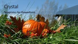  Presentation with barn - Slide set featuring thank gold - back of the barn background and a light blue colored foreground