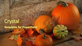  Presentation with ready - Presentation theme consisting of thank gold - pumpkins and gourds background and a tawny brown colored foreground