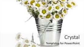  Presentation with white flowers - Amazing presentation theme having thank you card - bouquet of daisy flowers backdrop and a white colored foreground