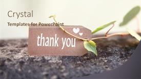  Presentation with thank - Presentation theme having thank-you-message-with-vines background and a  colored foreground