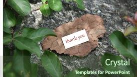  Presentation with thank - Colorful slides enhanced with thank you message backdrop and a tawny brown colored foreground