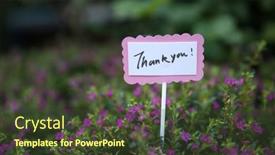  Presentation with thank - Presentation consisting of thank-you-tag-the-card background and a tawny brown colored foreground