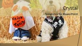  Presentation with straw bale - Slide deck featuring thankgiving card - cute white terrier mix sitting background and a yellow colored foreground