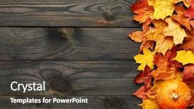  Presentation with thanksgiving - Slides consisting of thanksgiving - autumn leaves and pumpkin background and a dark gray colored foreground