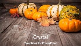  Presentation with autumn leaves - Cool new presentation theme with thanksgiving - autumn still life with pumpkins backdrop and a coral colored foreground