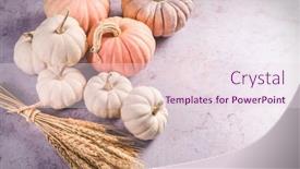  Presentation with thanksgiving - Presentation design having thanksgiving-and-halloween-pumpkins background and a sky blue colored foreground