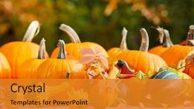  Presentation with fall leaves border autumn - Presentation with thanksgiving border background autumn fall background and a gold colored foreground