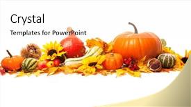  Presentation with autumn leaves - PPT layouts consisting of thanksgiving borders - autumn decoration arranged with dry background and a sky blue colored foreground