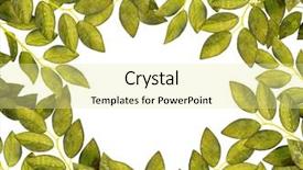  Presentation with fall leaves border white - PPT theme with thanksgiving borders - border of leaves isolated background and a blonde colored foreground