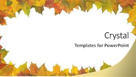  Presentation with maple leaves - Presentation having thanksgiving borders - frame with colored autumn maple background and a white colored foreground