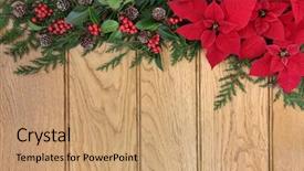  Presentation with border flower - Theme enhanced with thanksgiving christmas - poinsettia flower border on oak background and a coral colored foreground
