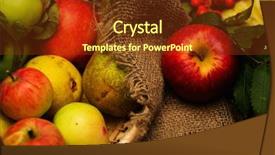  Presentation with thanksgiving - Audience pleasing slides consisting of thanksgiving day autumnal still life backdrop and a tawny brown colored foreground