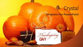  Presentation with greeting card - PPT theme enhanced with thanksgiving day decoration for holiday background and a gray colored foreground