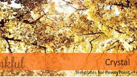  Presentation with sky blue - Slides featuring thanksgiving greeting text against low background and a yellow colored foreground