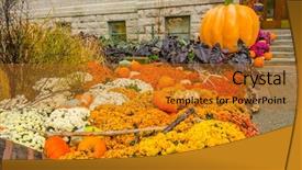  Presentation with islamic decorations decoration and motif - Cool new slide set with thanksgiving outdoor decorations in quebec backdrop and a  colored foreground