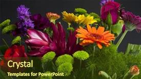  Presentation with tropical flowers - Cool new presentation with thankyou background - bouquet or bunch of tropical backdrop and a tawny brown colored foreground