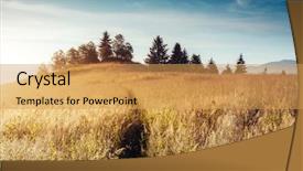  Presentation with alpine - Presentation theme consisting of that glowing by sunlight picture background and a yellow colored foreground