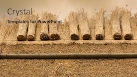  Presentation with straw - Slide set with reeds - thatched roof of a house background and a coral colored foreground
