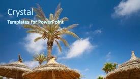  Presentation with palm - Cool new presentation with thatched-sunshades-and-palm-trees backdrop and a ocean colored foreground