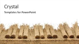  Presentation with white house roof - Theme enhanced with thatcher - thatched roof of a house background and a white colored foreground