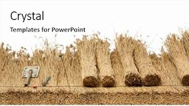  Presentation with white house roof - Cool new theme with thatcher - thatched roof of a house backdrop and a cream colored foreground