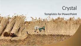  Presentation with new home - Amazing PPT layouts having thatcher thatching a roof backdrop and a white colored foreground