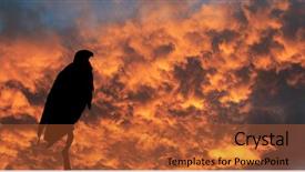  Presentation with african river - Beautiful PPT theme featuring the african fish - eagle backdrop and a red colored foreground