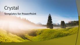  Presentation with night - Slide deck having enchanted world - vivid summer night background and a light blue colored foreground