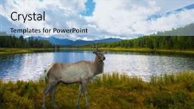  Presentation with siberia - Cool new presentation theme with the altai mountains siberia backdrop and a light blue colored foreground