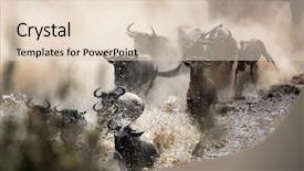  Presentation with kenya - Cool new presentation theme with the annual great migration backdrop and a lemonade colored foreground