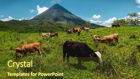  Presentation with grazing - Amazing presentation theme having the background costa rica backdrop and a tawny brown colored foreground
