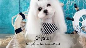  Presentation with marine - PPT layouts with the background of marine background and a mint green colored foreground