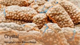  Presentation with paper bag vs plastic bags - Colorful presentation theme enhanced with the bags at farm backdrop and a coral colored foreground