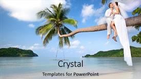  Presentation with beach palm tree wedding - Amazing slide deck having the beach in wedding backdrop and a light blue colored foreground