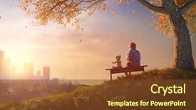  Presentation with back school education - Cool new slide set with the bench near tree backdrop and a tawny brown colored foreground