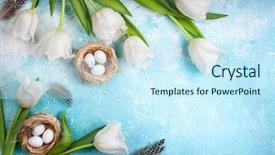  Presentation with decor - Cool new theme with the blue background bunch backdrop and a cool aqua colored foreground