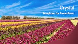  Presentation with rural tourism concept - Slides featuring cirrus clouds fly background and a teal colored foreground