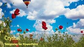  Presentation with blue flower - PPT theme enhanced with the blue sky huge background and a tawny brown colored foreground