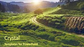  Presentation with malaysia - Theme featuring the cameron highlands malaysia background and a tawny brown colored foreground