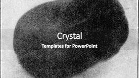  Presentation with central nervous system - Beautiful PPT theme featuring the central nervous system backdrop and a dark gray colored foreground