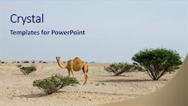  Presentation with qatar - Amazing presentation theme having the centre of qatar backdrop and a sky blue colored foreground