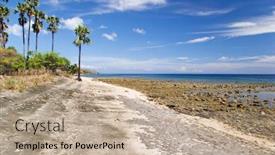  Presentation with coral - Colorful presentation theme enhanced with the-coral-beach-pemuteran-beach backdrop and a mint green colored foreground