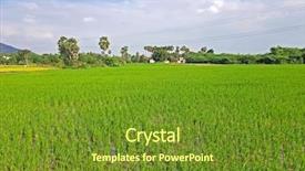  Presentation with rice field - Cool new slide deck with the countryside from india backdrop and a tawny brown colored foreground