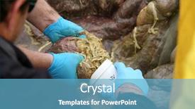  Presentation with intestine - PPT layouts featuring the dead animals intestine background and a teal colored foreground